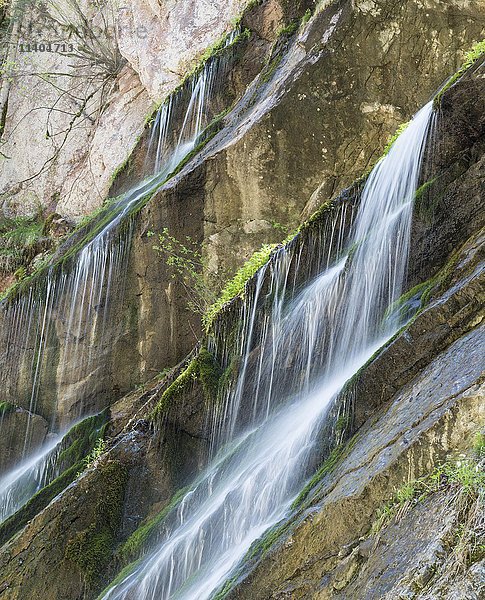 Wasserfall am moosbewachsenen Hang in Klamm  Wimbachklamm  Wimbachtal  Ramsau bei Berchtesgaden  Berchtesgadener Land  Oberbayern  Bayern  Deutschland  Europa