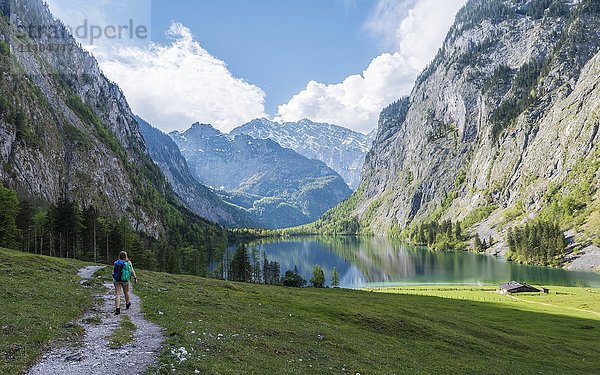 Wanderer auf dem Weg zum Obersee  Spiegelung im Wasser  Salet am Königssee  Nationalpark Berchtesgaden  Berchtesgadener Land  Oberbayern  Bayern  Deutschland  Europa