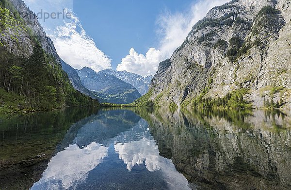 Obersee  Spiegelung im Wasser  Salet am Königssee  Nationalpark Berchtesgaden  Berchtesgadener Land  Oberbayern  Bayern  Deutschland  Europa
