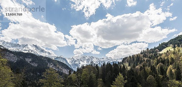 Verschneite Alpen  Panorama  Wetterstein  Landkreis Garmisch-Partenkirchen  Bayern  Deutschland  Europa