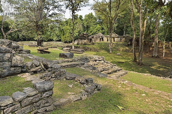 Struktur 23  Yaxchilan  alte Maya-Stadt  Usumacinta-Fluss  Mexiko  Mittelamerika