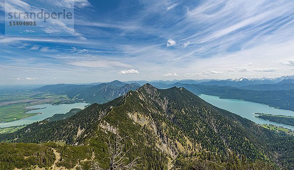 Blick auf den Kochel- und Walchensee vom Herzogstand  Alpenvorland  Oberbayern  Bayern  Deutschland  Europa