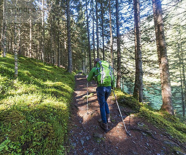 Wanderer auf Waldweg bergauf  Rohrmoos Obertal  Schladminger Tauern  Schladming  Steiermark  Österreich  Europa