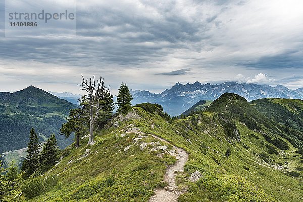 Wanderweg auf Bergrücken  Berge  Schladminger Tauern  Schladming  Steiermark  Österreich  Europa