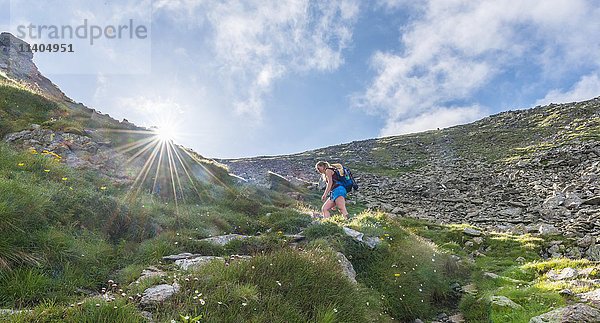 Wanderin auf Wanderweg im Gebirge  Sonne scheint über Grat  Aufstieg Greifenberg  Schladminger Tauern  Steiermark  Österreich  Europa