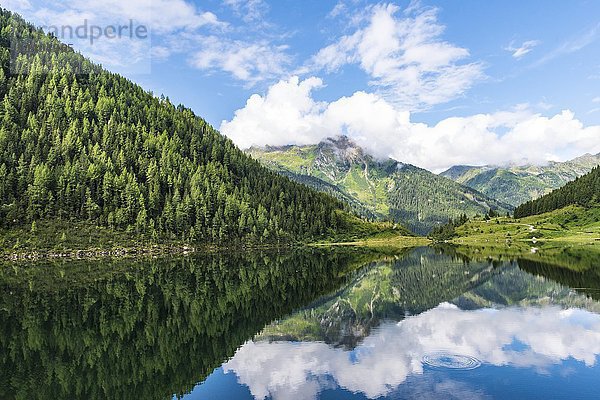 Wald und Berge  Spiegelung im Riesachsee  Rohrmoos-Untertal  Schladminger Tauern  Schladming  Steiermark  Österreich  Europa