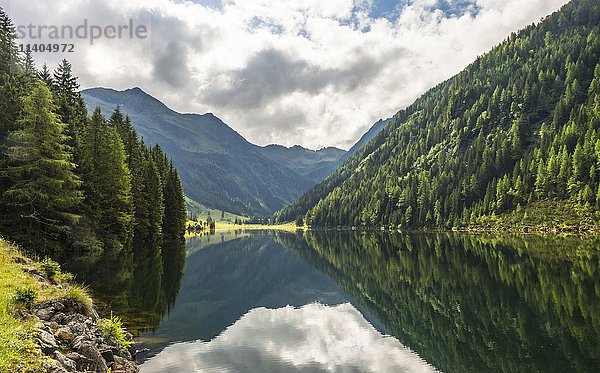 Wald und Berge  Spiegelung im Riesachsee  Rohrmoos-Untertal  Schladminger Tauern  Schladming  Steiermark  Österreich  Europa