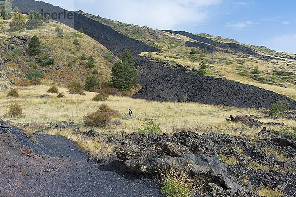 Wanderung durch Lavafelder von 1787  Lavafelder von 1983  Ätna  Sizilien  Italien  Europa