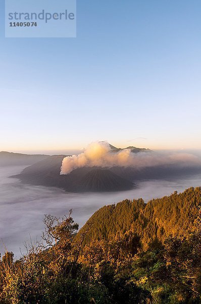 Mount Bromo  Sonnenaufgang  Vulkan in Wolken  Mount Batok  Mount Kursi  Mount Semeru  Bromo Tengger Semeru National Park  Java  Indonesien  Asien