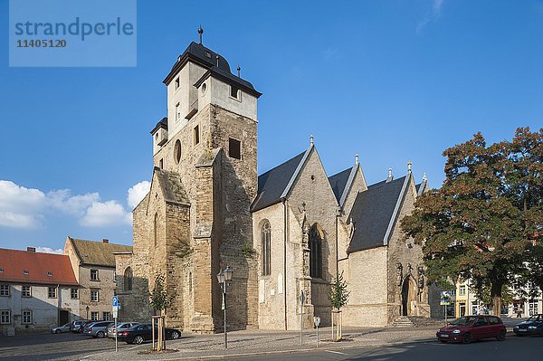 Kirche St. Michael  Ort der Reformation  Straße der Romanik  Zeitz  Sachsen-Anhalt  Deutschland  Europa