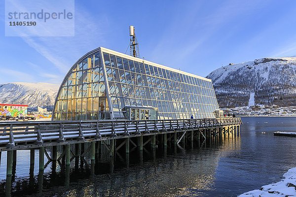 MS Polstjerna Museumsschiff  Tromso  Troms  Norwegen  Europa