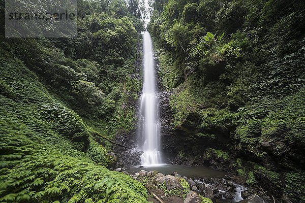 Laang Melanting  Wasserfall im Dschungel  Munduk  Bali  Indonesien  Asien