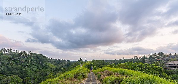 Gepflasterter Weg durch tropische Vegetation  Campuhan Ridge Walk  Bukit Campuhan  Tjampuhan's Holy Hills  Ubud  Bali  Indonesien  Asien