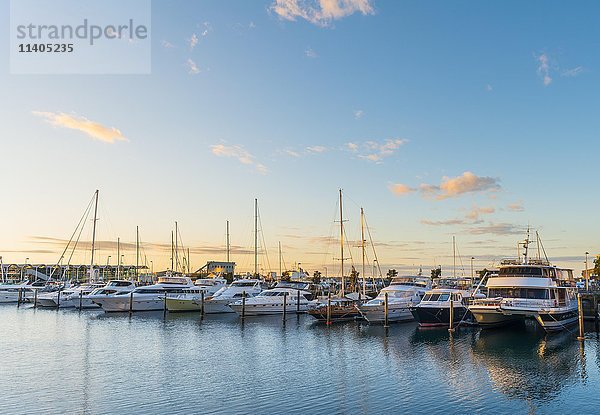 Sonnenuntergang  Segelboote und Yachten  Waitemata Harbour  Region Auckland  Nordinsel  Neuseeland  Ozeanien