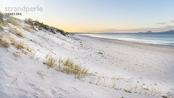 Strand bei Sonnenuntergang  Waipu  Northland  Neuseeland  Ozeanien