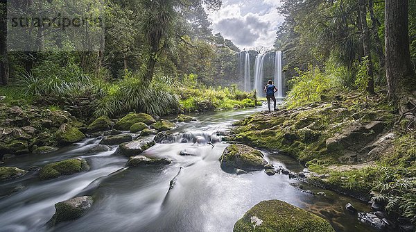 Wanderer vor dem Whangarei-Wasserfall  gemäßigter Regenwald  Whangarei  Northland  Nordinsel  Neuseeland  Ozeanien