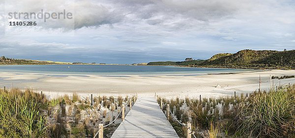 Uferpromenade zum Strand  Lake Taharoa  Northland  Nordinsel  Neuseeland  Ozeanien