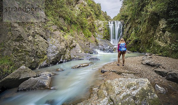 Wanderer vor dem Piroa-Wasserfall  Maungaturoto  Northland  Nordinsel  Neuseeland  Ozeanien