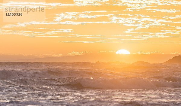 Sonnenuntergang über dem Meer  Sandfly Bay  Dunedin  Otago-Halbinsel  Südland  Neuseeland  Ozeanien