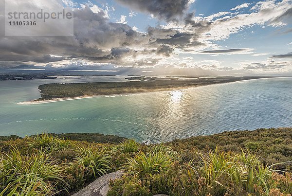 Panoramablick auf Matakana Island  Blick vom Mount Maunganui  Region Bay of Plenty  Nordinsel  Neuseeland  Ozeanien