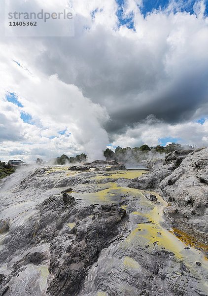 Dampfender Pohutu-Geysir und Prince of Wales Feathers Geysir  Te Puia  Whakarewarewa  Rotorua  Neuseeland  Ozeanien