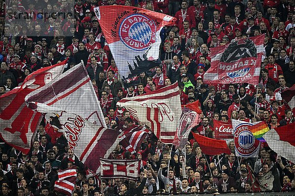 Fans mit Fahnen  Bayern  Allianz Arena  München  Bayern  Deutschland  Europa