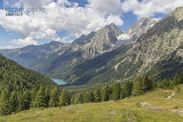 Alpenpanorama mit Antholzer See und Rieserfernergruppe  Österreichische Zentralalpen  Blick vom Staller Sattel  Östliche Zentralalpen  Antholzertal  Südtirol  Italien  Europa