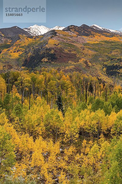 Berglandschaft mit Herbstwald  verschneite Gipfel der Rocky Mountains  Colorado  USA  Nordamerika
