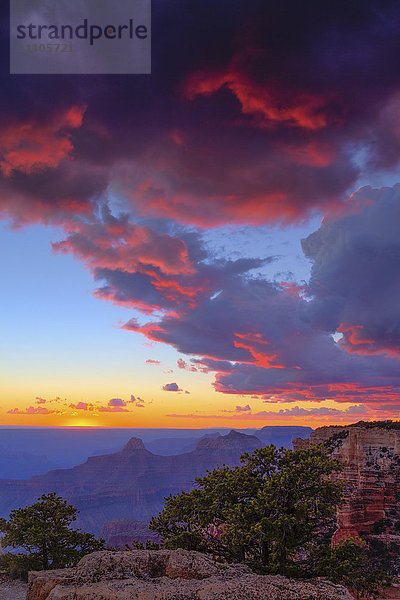 Grand Canyon  Sonnenuntergang  leuchtend rote Wolken  North Rim  Grand Canyon National Park  Arizona  USA  Nordamerika