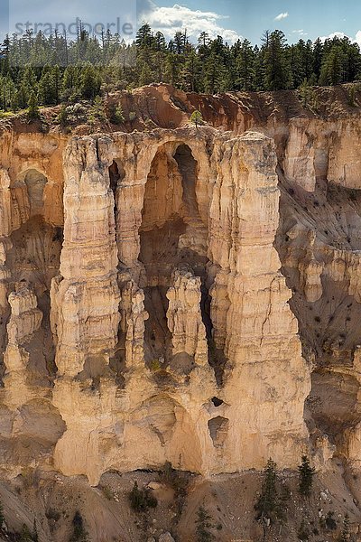 Bizarre Felsformationen  Steinbrücke  Hoodoos oder Feenkamine  Bryce Canyon National Park  Utah  USA  Nordamerika