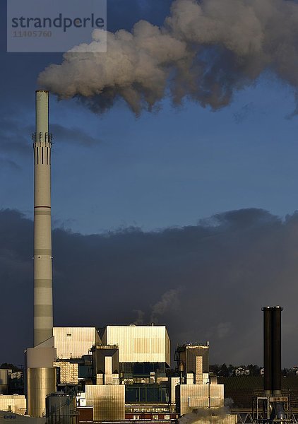 Rauch aus dem Schornstein  EnBW-Kraftwerk und Müllverbrennungsanlage in Stuttgart-Münster  Stuttgart  Baden-Württemberg  Deutschland  Europa