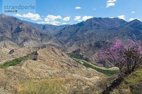 Zentrale Anden  grünes Tal  Marañón-Fluss  Amazonasgebiet  Cajamarca  Peru  Südamerika