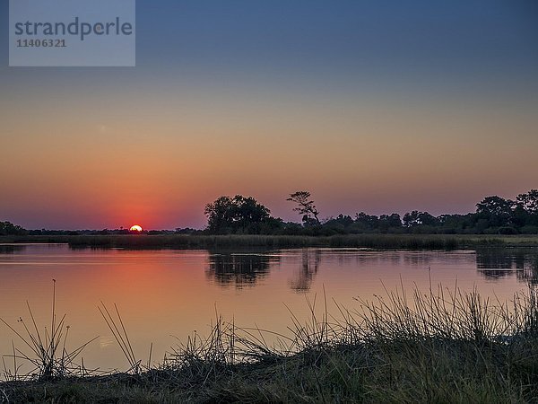 Sonnenuntergang im Okavango-Delta  Botswana  Afrika