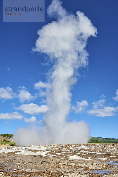 Dampf während eines Ausbruchs  Stokkur-Geysir  Haukadalur  Island  Europa