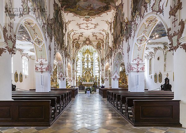 Rokoko-Innenraum der Pfarrkirche St. Kassian  Regensburg  Oberpfalz  Bayern  Deutschland  Europa