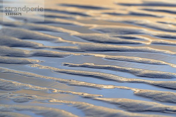 Wellenmuster  Rippel im nassen Sand  Ebbe  Norderney  Ostfriesische Inseln  Niedersachsen  Deutschland  Europa