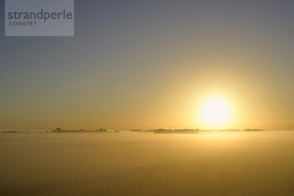 Sonnenaufgang  neblige Landschaft  Westerhever  Nordfriesland  Schleswig-Holstein  Deutschland  Europa