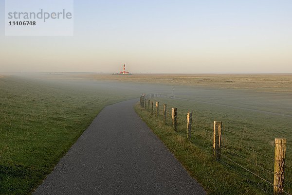 Leuchtturm Westerhever in Salzwiesen bei Morgennebel  Nationalpark Schleswig-Holsteinisches Wattenmeer  Westerheversand  Nordfriesland  Schleswig-Holstein  Deutschland  Europa