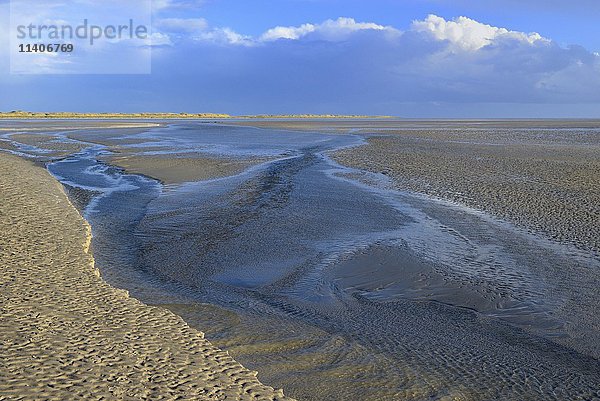 Sandbank mit zurückweichendem Wasser bei Ebbe  St. Peter-Ording  Nationalpark Schleswig-Holsteinisches Wattenmeer  Nordfriesland  Schleswig-Holstein  Deutschland  Europa