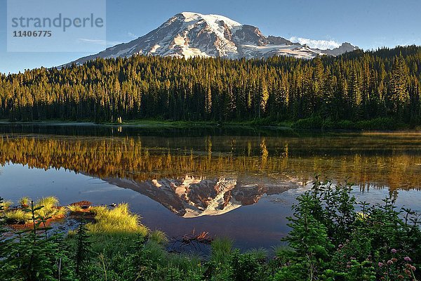 Spiegelung des Mount Rainier im Reflection Lake  Mount Rainier National Park  Cascade Range  Washington  Pazifischer Nordwesten  USA  Nordamerika