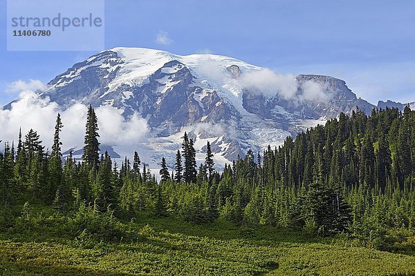 Schneebedeckter Gipfel des Mount Rainier  Mount Rainier National Park  Cascade Range  Washington  Pazifischer Nordwesten  USA  Nordamerika