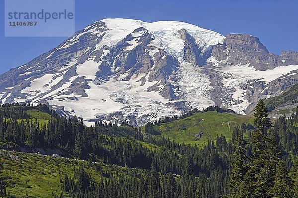Schneebedeckter Gipfel des Mount Rainier  Mount Rainier National Park  Cascade Range  Washington  Pazifischer Nordwesten  USA  Nordamerika