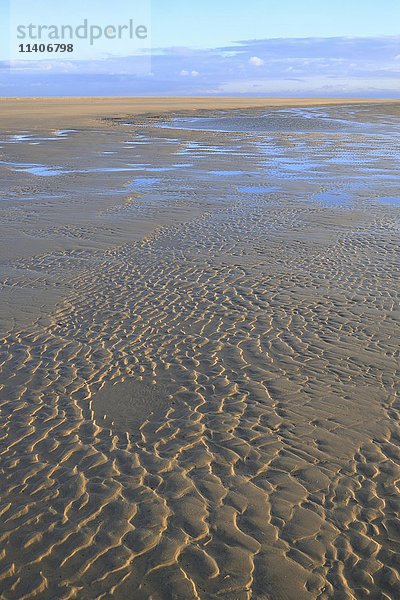 Wellenartige Muster im Sand bei Ebbe  Sankt Peter-Ording  Nationalpark Schleswig-Holsteinisches Wattenmeer  Nordfriesland  Schleswig-Holstein  Deutschland  Europa