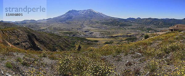 Panoramablick auf Mount Saint Helens  Mount Saint Helens National Monument  Skamania County  Cascade Range  Washington  Pazifischer Nordwesten  USA  Nordamerika