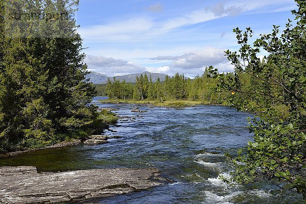 Flusslandschaft  Fluss Rövran  Ljungdalen  Provinz Jämtland  Schweden  Europa