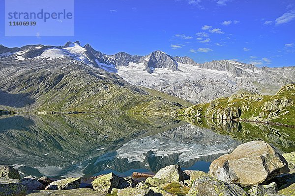 Unterer Wildgerlossee  Reichenspitz-Gruppe  See mit Bergen und Gletscher dahinter  Wildgerlostal  Nationalpark Hohe Tauern  Salzburg  Österreich  Europa