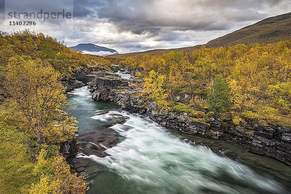 Abisko-Schlucht im Herbst  Fluss Abiskojåkka  Abiskojokk  Abisko-Nationalpark  Norrbotten  Lappland  Schweden  Europa