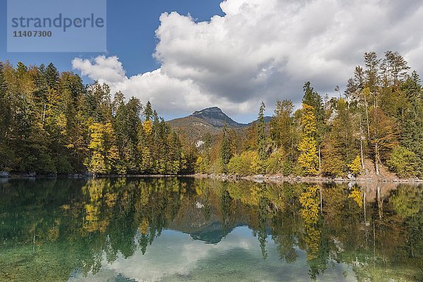 Herbstwald spiegelt sich im See  Kleiner Ödsee  Totes Gebirge  Almtal  Salzkammergut  Oberösterreich  Österreich  Europa