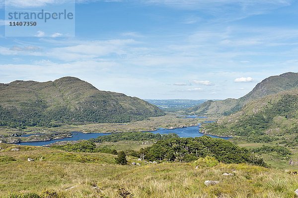 Lower Lake  Blick vom Ladies View  Killarney National Park  Grafschaft Kerry  Irland  Europa