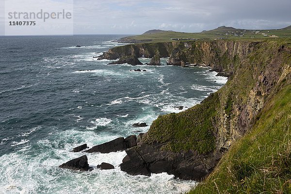 Klippe bei Dunquin  Dingle-Halbinsel  Irland  Vereinigtes Königreich  Europa